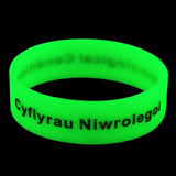 Silicone Bracelet Glow In Dark